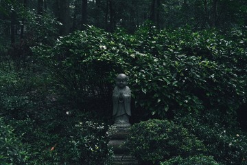 20170625_88ACFAF9-B2A5-41B3-9D44-8B98B3C7FB98