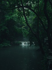 20170625_F31F362D-9BA8-4A4A-8B50-A10DA2AD455C