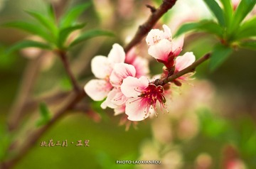 IMGP5736 