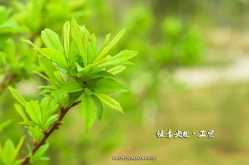 IMGP5758 