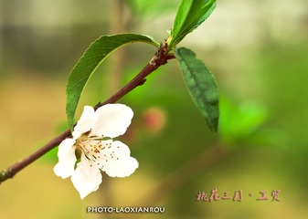 IMGP5759 