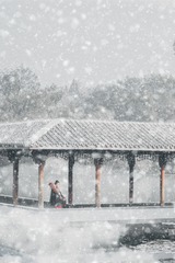 雪纷飞