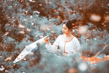 陪你去看最美的格桑花