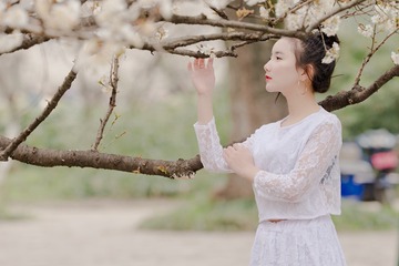 AV4V0126-编辑