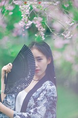 AV4V0100-编辑