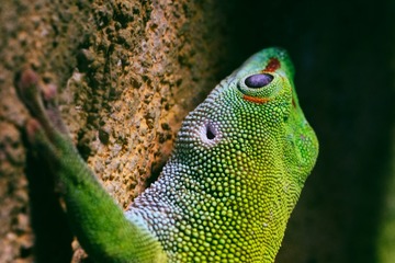P1310554