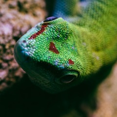 P1310558