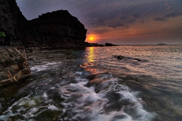 _DSC1446
