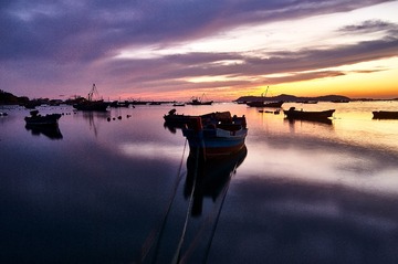 _DSC5248