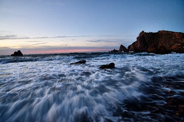 _DSC4661