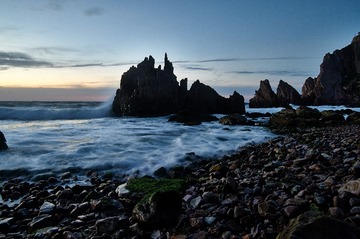_DSC4731