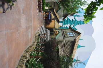 BSL_5913