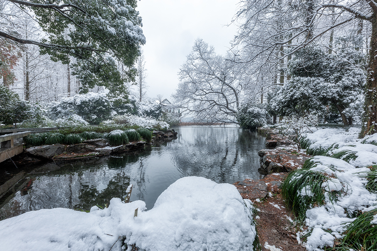 "白雪却嫌春色晚,故穿庭树作飞花.
