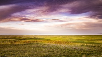 20160430_1