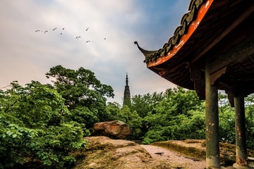 IMGP2018-编辑