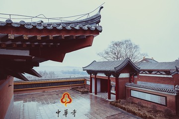 IMG_2477-编辑