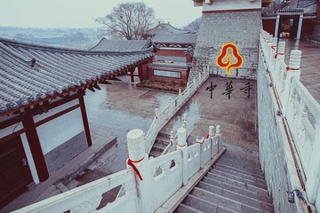 IMG_2478-编辑