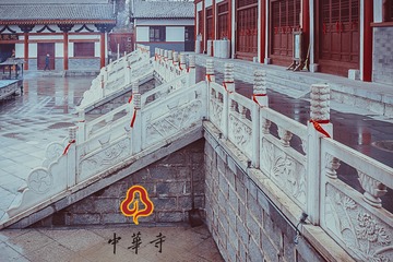 IMG_2487-编辑