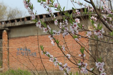hIMG_0478