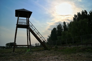 IMG_7220-01