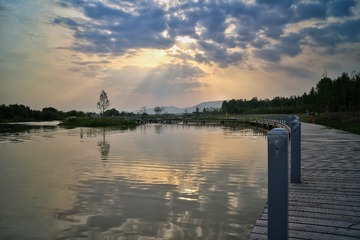 IMG_7424-01