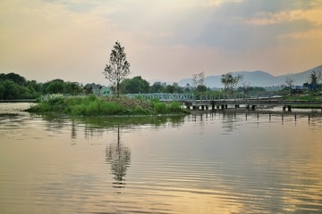 IMG_7418-02
