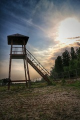 IMG_7223-01