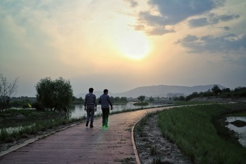 IMG_7528-01