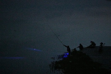 IMG_9304-01