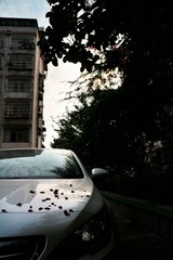 20160723082853_IMG_3233-01