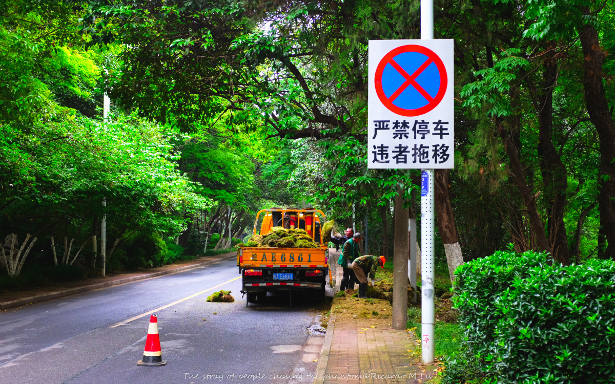 包公园旁边的路上,一辆施工车辆停靠在标有""禁止停车""的路牌下方