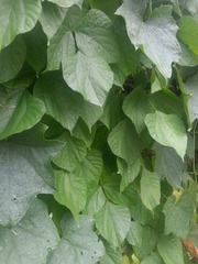 20160806_154442