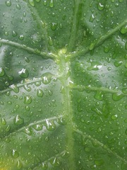 20160806_154148