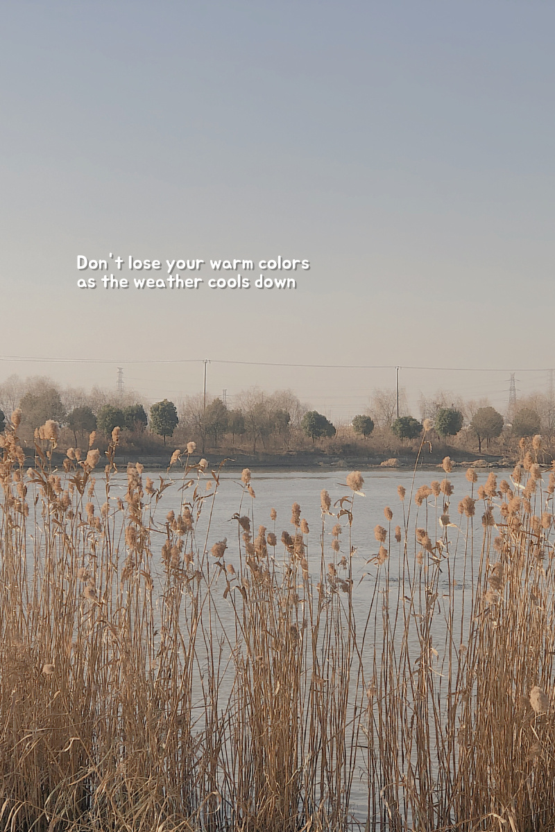 无人问津也好技不如人也罢你要试着安静下来去做自己该做的事而不是让