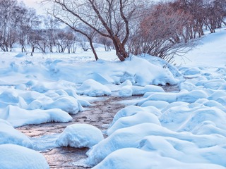 雪馒头 01