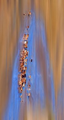 _DSF4679-2