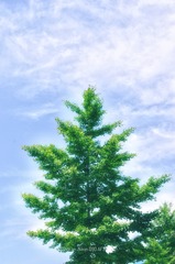 001