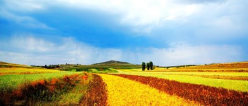 风雨欲来