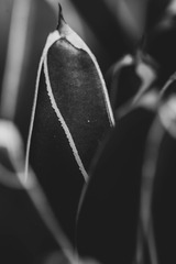3410683