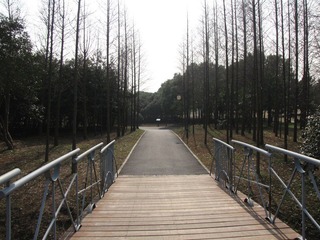 test1