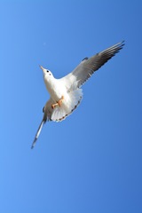 AAA_2282