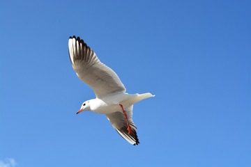 AAA_3046