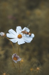 20160830-IMGP9952