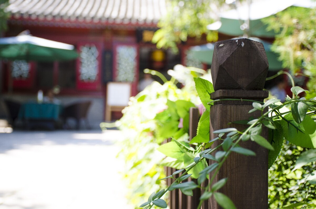 国子监 北京 植物 围栏