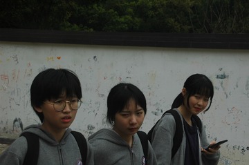 250356
