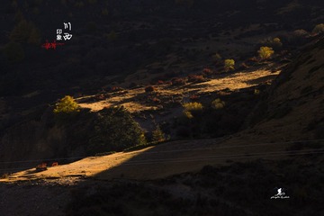 IMG_6814-1_调整大小