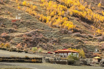 IMG_7356-1_调整大小