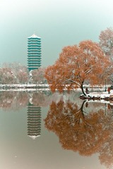IMG_5672-1-2