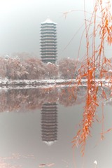 IMG_5687-1