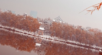 IMG_5688-1